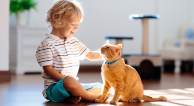 child with pet allergies who is receiving sublingual immunotherapy in fayetteville nc